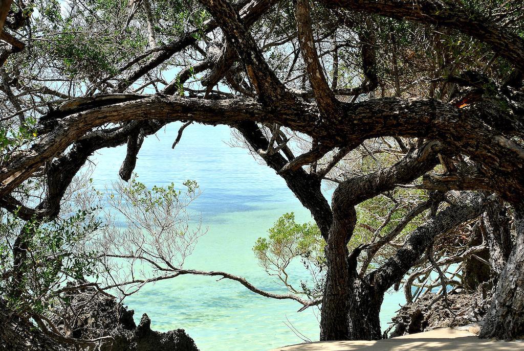 잔지바르 록 리조트 호텔 Zanzibar 객실 사진
